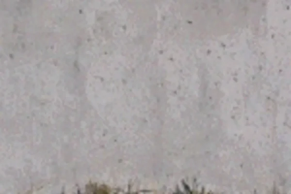 Septic Tank Bottom