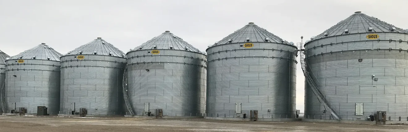 Wide view of five Lubbers grain bins